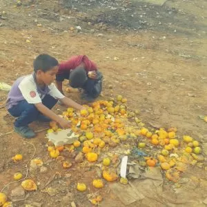 Wayuu boys selecting oranges to eat from the market trash area.